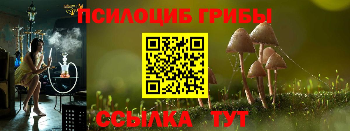 Клинцы  Псилоцибиновые грибы мицелий  Вход с VPN 