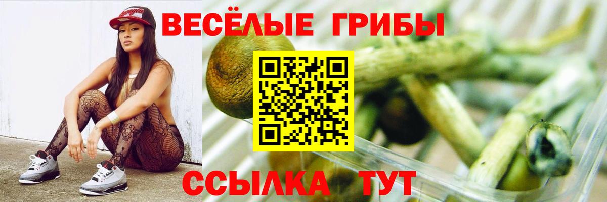 Псилоцибиновые грибы мицелий Клинцы